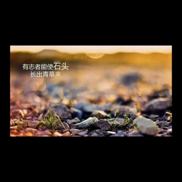 【活着就是胜利】在线收听_主播 韩丹_荔枝fm