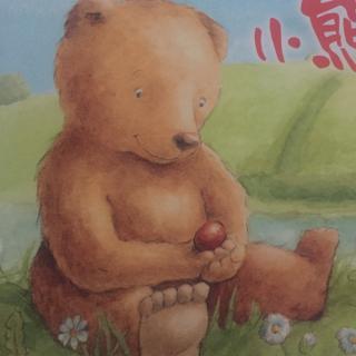 聪明豆系列—小熊孵蛋