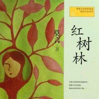 越南语小说-红树林--017