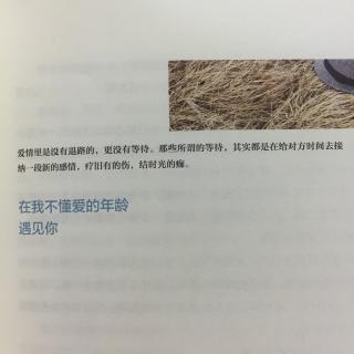 在我不懂爱的年龄，遇见你/苑子豪