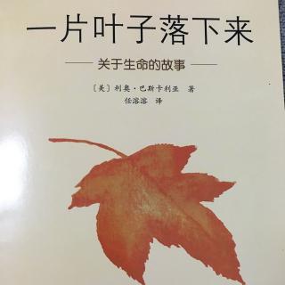 苹果树美术基地有声绘本～《一片叶子落下来》