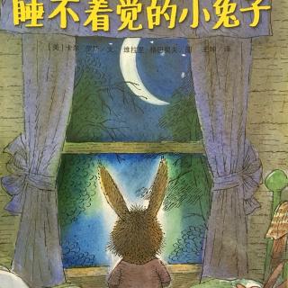 绘本故事—睡不着觉的小兔子