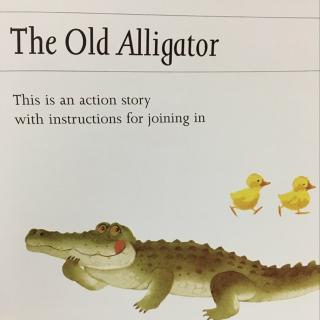 The old alligator