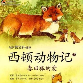 【李媛讲故事】129《春田狐的爱》第一集《无奈的偷鸡贼》