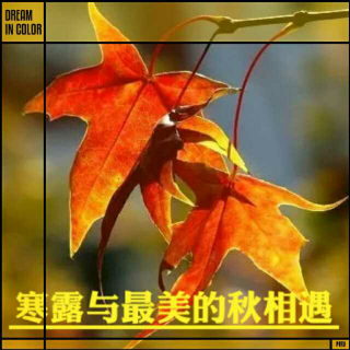 《寒露，与最美的秋相遇》/作者: 谭旭颖