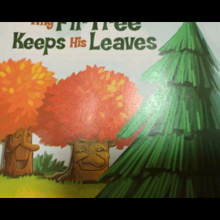 Why  Fir  Tree  Keep  His  Leaves