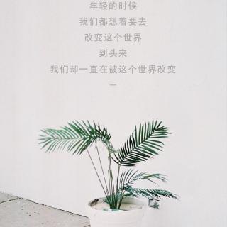 你骗我钱可以，别骗我的爱