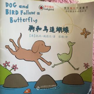 （2-3岁英文绘本）Dog and Bird Follow a butterfly