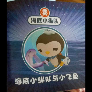 海底小總隊與小飛魚