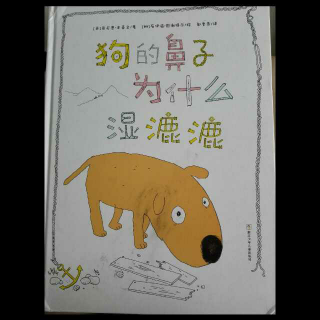 狗狗🐶的鼻子👃为什么湿漉漉