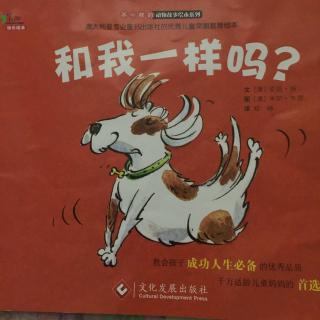 和我一样吗？