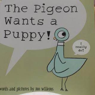 the pigeon wants a puppy