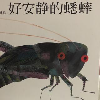 好安静的蟋蟀