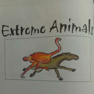 Extreme animals