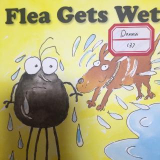 培生亲子故事屋-Flea Gets Wet