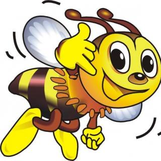 213期绘本-小蜜蜂钻大口袋