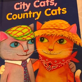 city cats，country cats