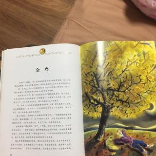 格林童话之金鸟