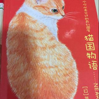 猫国物语---匹克