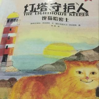 馋猫哈密士