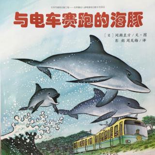 93.与电车赛跑的海豚🐬