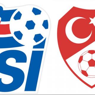 世预赛欧洲区小组赛 冰岛vs土耳其