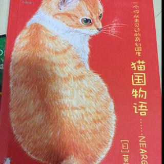 猫国物语---约克