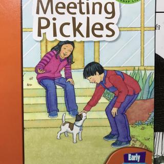Meeting Pickles