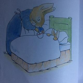 睡前故事•彼得兔故事全集•彼得兔的故事