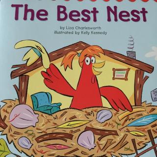 the best nest