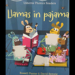 Llamas in pajamas