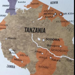 坦桑尼亚（Tanzania)咖啡