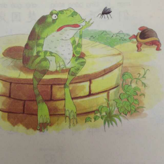 成语故事之《井底之蛙》主播：小金老师