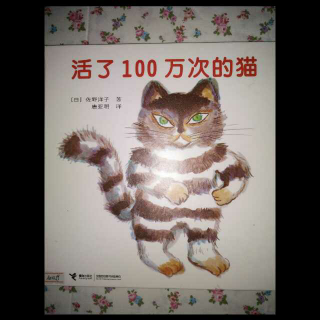 活了100万次的猫