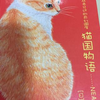 猫国物语---凯利