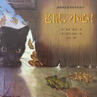 【绘本故事191】--《老鼠 小心》