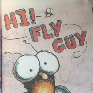 Hi! Fly  guy