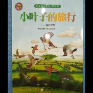 《小叶子的旅行》