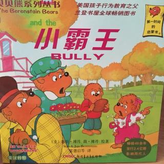 小霸王（BULLY）- 贝贝熊系列丛书