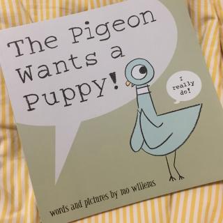 The Pigeon Wants a Puppy！