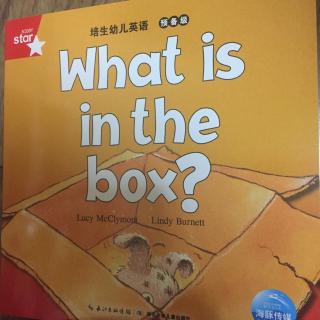 日有所诵🔫英文绘本what is in the box?