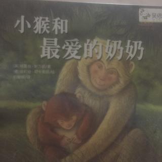 小猴和最爱的奶奶