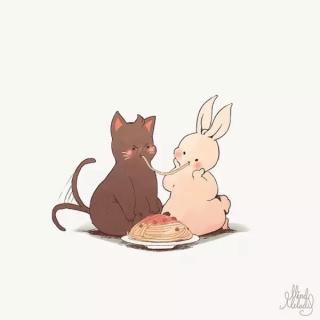 猫小姐与兔先生