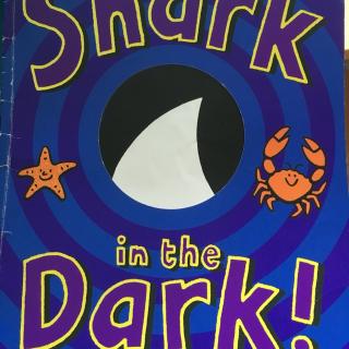shark in the dark