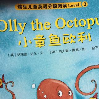 olly the octopus