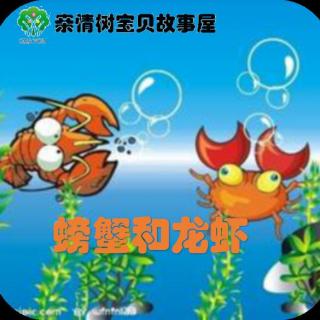 小迪老师讲故事：螃蟹和龙虾
