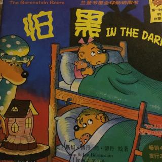 贝贝熊系列丛书-怕黑