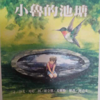 恩育堂紫梅老师绘本分享《小鲁的池塘》