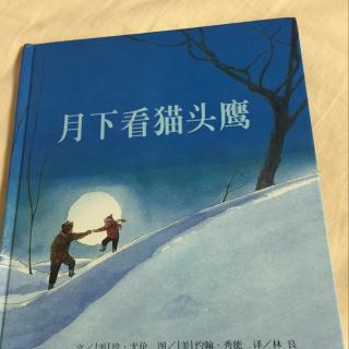 123.绘本《月下看猫头鹰》