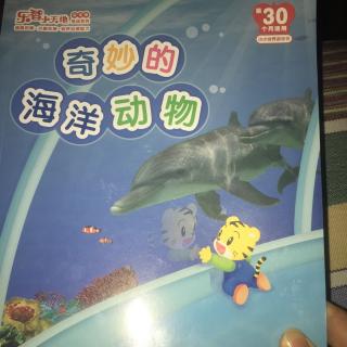 奇妙的海洋动物